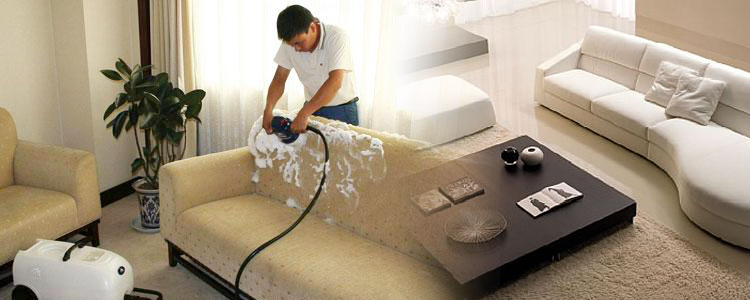 Dịch vụ giặt thảm, ghế